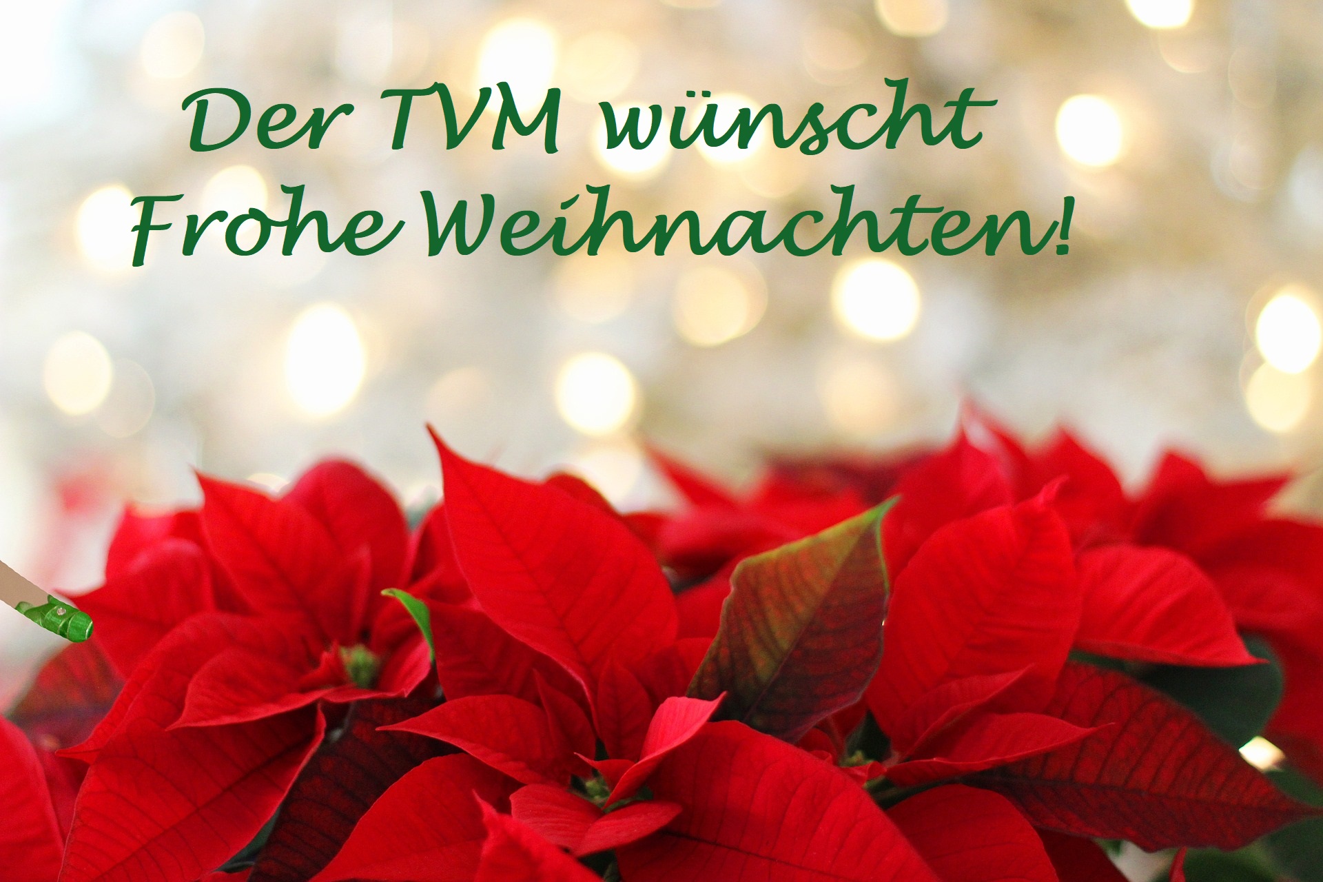 TVM Weihnachten